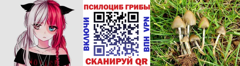Галлюциногенные грибы ЛСД  где можно купить   Пучеж 